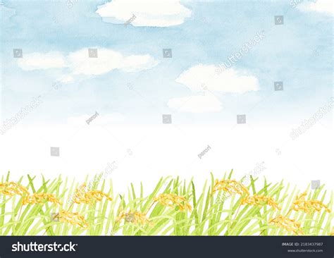 Rice Field Landscape Watercolor Painting On Stock Illustration ...