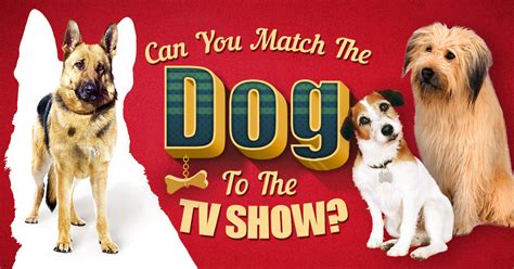 Can You Match The Dog to The TV Show? 🐩 Quiz