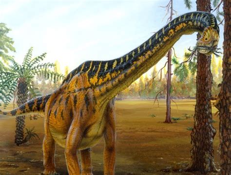 Abydosaurus Pictures & Facts - The Dinosaur Database