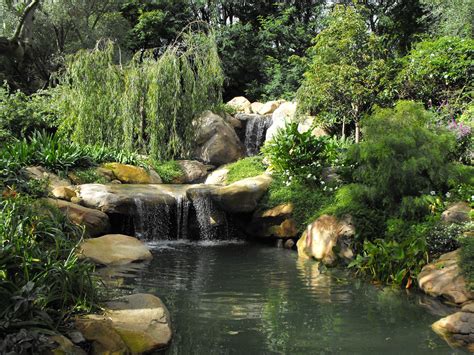 This is one of my all time favorite pond with waterfalls. I love the ...