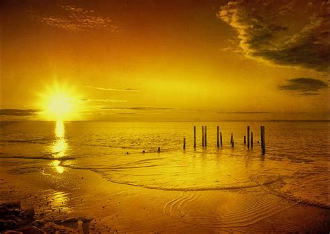 Golden Sunset by Photo Art By Mandy