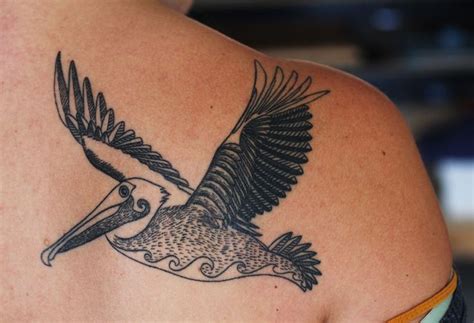 40 best Pelican Tattoo Drawing images on Pinterest | Pelican tattoo ...