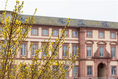 Campus Life | Business School | University of Mannheim