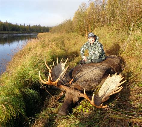 Self Guided Moose Hunts Alaska | DIY Moose Hunts Anchorage, Alaska