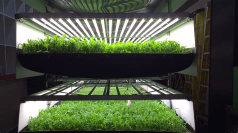 Vertical farming: The next big thing for food—and tech