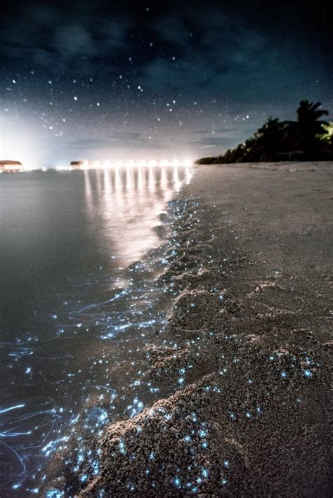 Sea of Stars, Maldives | Top Travel Destinations to Put on Your Bucket ...