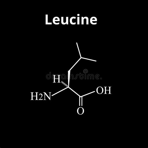 Amino Acid Leucine. Chemical Molecular Formula of Amino Acid Leucine Stock Vector - Illustration ...