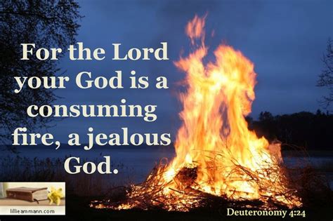 For the Lord your God is a consuming fire, a jealous God. / Deuteronomy 4:24 | Deuteronomy 4 ...