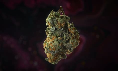 Cannabis Flower Strains For Creativity - 420 Kingdom