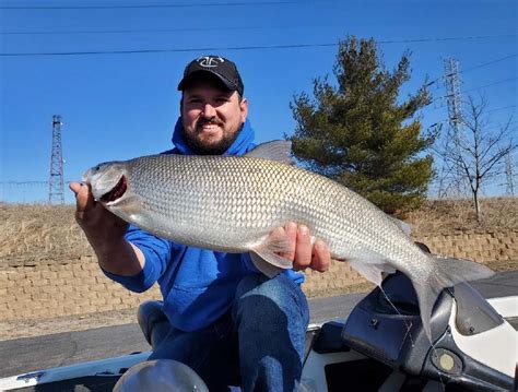 Indiana Whitefish State Record Broken - The Fishing Wire