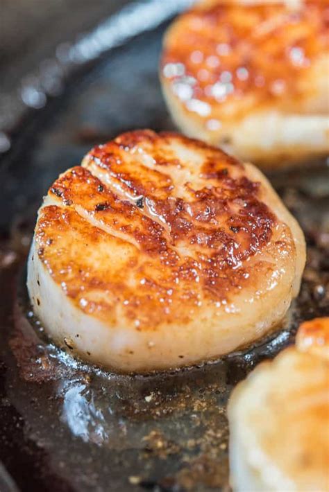 Seared Sea Scallops - Utah Stories