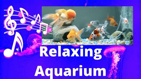 Beautiful Relaxing Aquarium Music for Sleep Study Yoga & Meditation Screensaver - YouTube