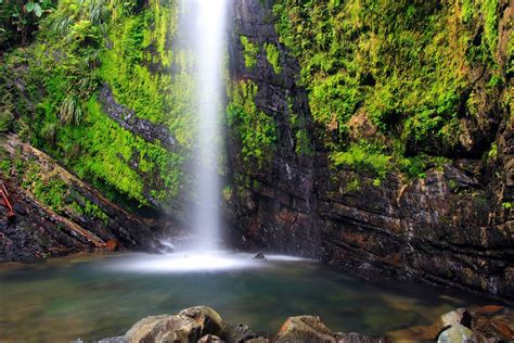 Beautiful Place Called Earth: El Yunque National Forest