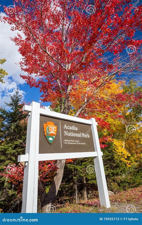 Beautiful Fall Colors of Acadia National Park in Maine Stock Photo - Image of foliage, board ...