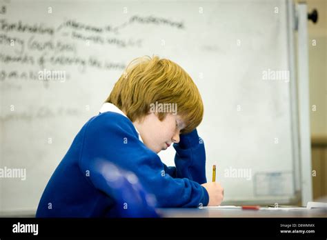 Young school boy studying at school Stock Photo - Alamy