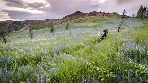 A Summer in Sun Valley, Idaho