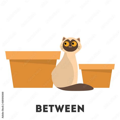 Cat and box. Learning preposition concept. Animal between Stock Vector ...