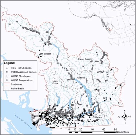 Quantifying lost habitat for Pacific salmon in the Lower Fraser | Raincoast