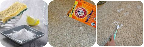 7 Pics Bicarbonate Of Soda And Vinegar To Clean Carpet And View - Alqu Blog