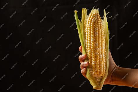 Free Photo | The hand of the corn