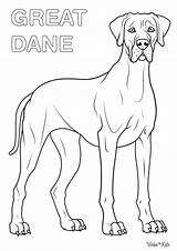 Great Dane Coloring Pages Free Printable PDFs  WakeTheKids sketch template