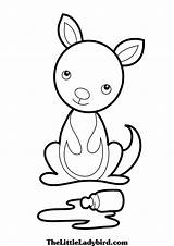 Kangaroo Coloring Page  Free Download On ClipArtMag sketch template