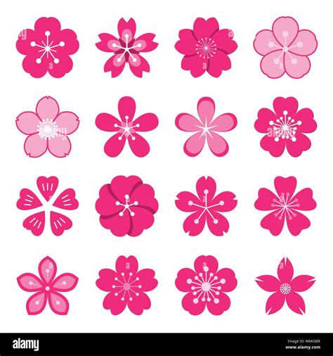 Japan cherry blossom hanami Cut Out Stock Images & Pictures - Alamy