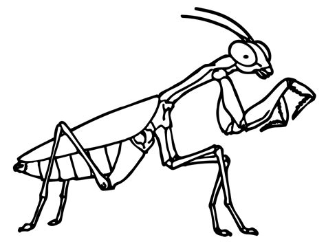 Insects Clipart Black And White | Free download on ClipArtMag