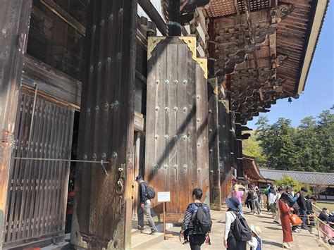 Todaiji Temple: Deer and Cherry Blossoms in Nara — The Gaijin Ghost