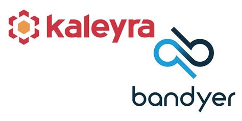 Kaleyra Acquires Cloud-based Audio & Video Firm Bandyer - CX Today