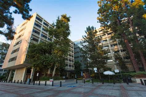 UCLA to switch to remote-only instruction for fall, further reduce on-campus housing - Daily Bruin