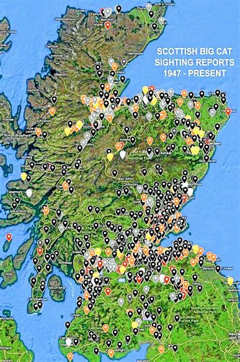 a collated map of big cat sightings across scotland made by paul macdonald - DNG Online Limited