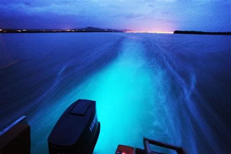 Luminous Lagoon Glistening Waters Cruise