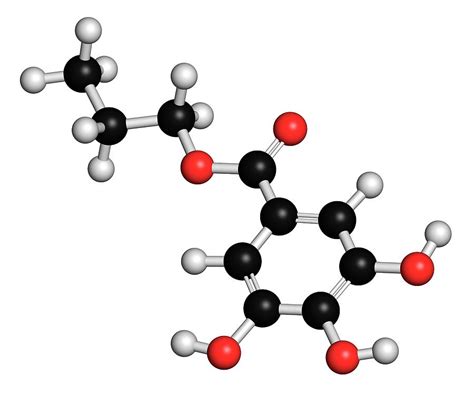 Propyl Gallate Antioxidant Photograph by Molekuul/science Photo Library