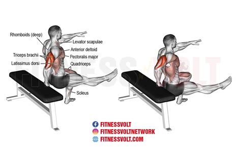 Master the One-Arm Bench Dip for Total Upper Body Strength – Fitness Volt