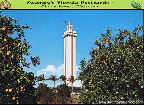 Swampy’s Florida Postcard : Citrus Tower, Clermont – Swampy's Florida