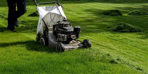 Simple Lawn Mowing Tips Every Homeowner Should Know - Mitmunk