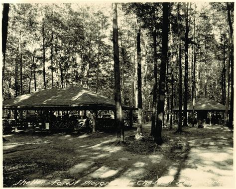 Nostalgic Chestnut Ridge Park, NY - Chestnut Ridge Conservancy