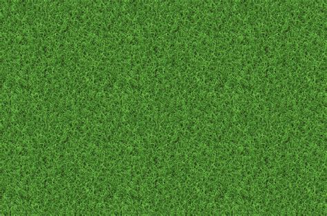 Green Grass Backgrounds - Wallpaper Cave