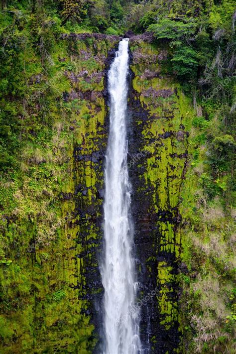 Akaka Falls waterfall — Stock Photo © MNStudio #154896086