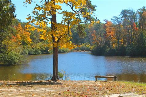 4 Lakes That'll Knock Your Socks Off This Fall at Virginia State Parks