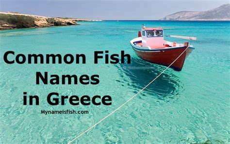 Common Fish Names in Greece