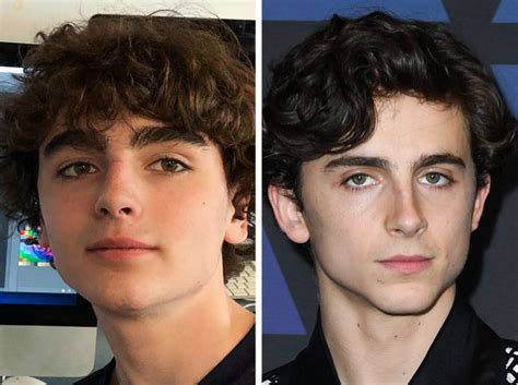 Timothée-Chalamet-doppelganger - THE EMERGING INDIA