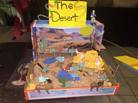 Desert ecosystem diorama 4th grade | Ecosystems projects, Desert ...