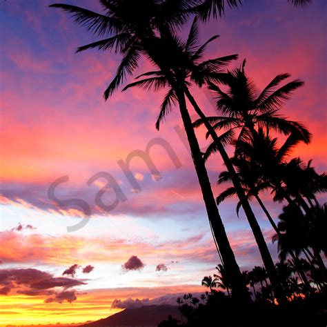 Alex Arthur - Wailea Beach Sunset | Pictures Plus