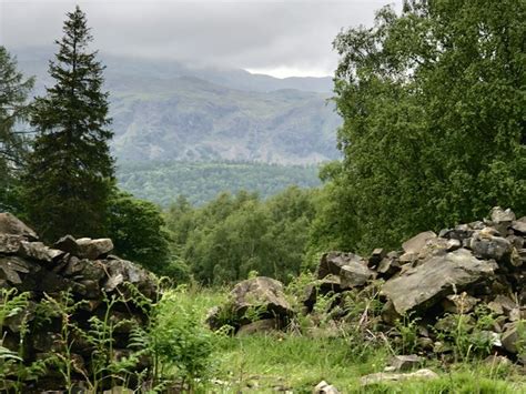 Broken Wall, Grizedale Forest © David Robinson cc-by-sa/2.0 :: Geograph Britain and Ireland