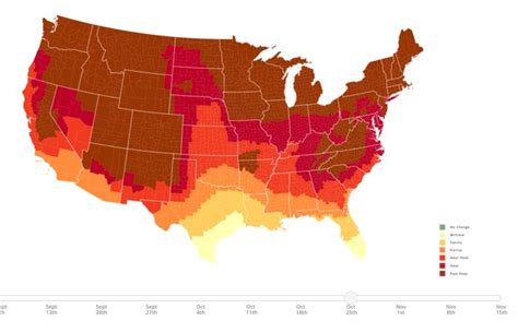 The Best Times And Places To View Fall Foliage In South Carolina | Fall foliage map, Foliage map ...