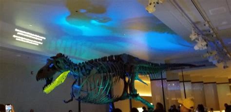 Chicago Field Museum Sue t rex | Happy Mom Hacks