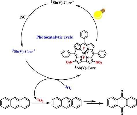 Schematic illustration of the singlet oxygen generation from the ...