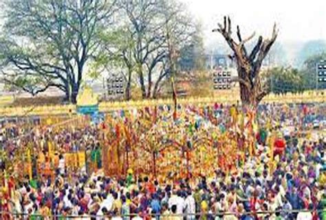 Ecstatic start of Sammakka Saralamma Jatara tribal festival - Newstrust Web Channel